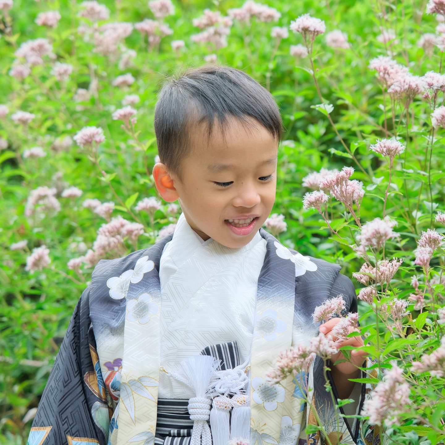 神社で七五三の着物の女の子と男の子