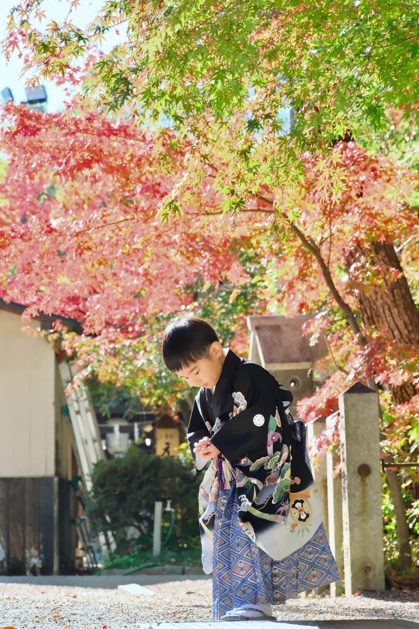 杭全神社で七五三参り