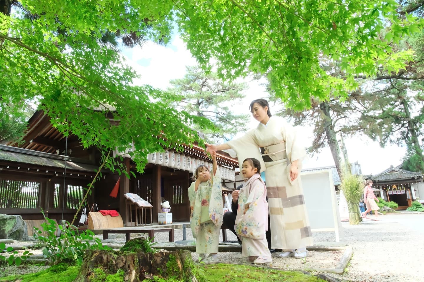 建部大社で七五三参りの女の子の写真