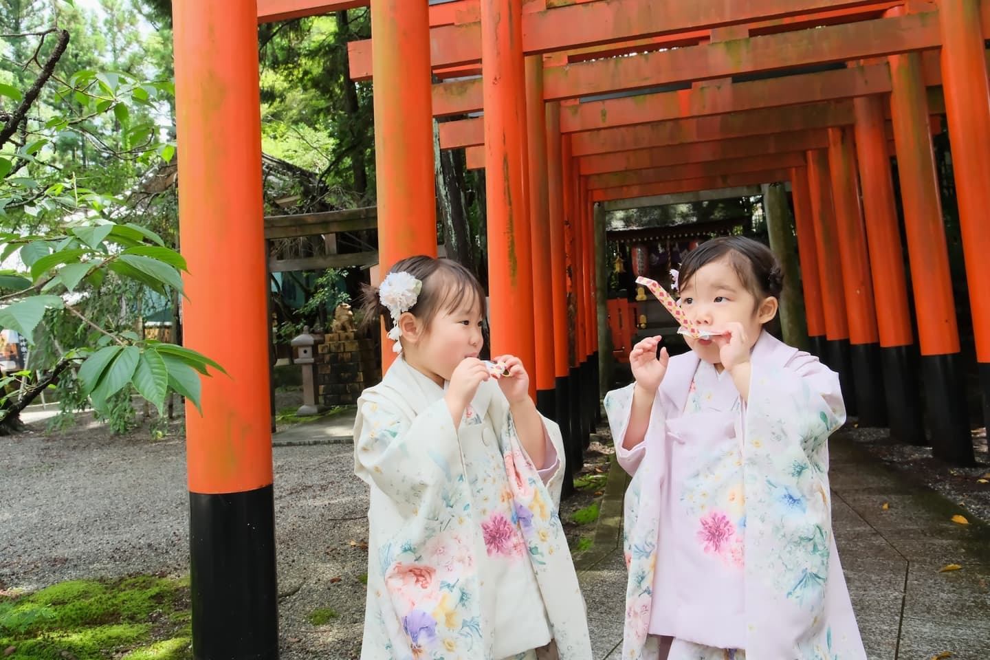 建部大社で七五三参りの女の子の写真