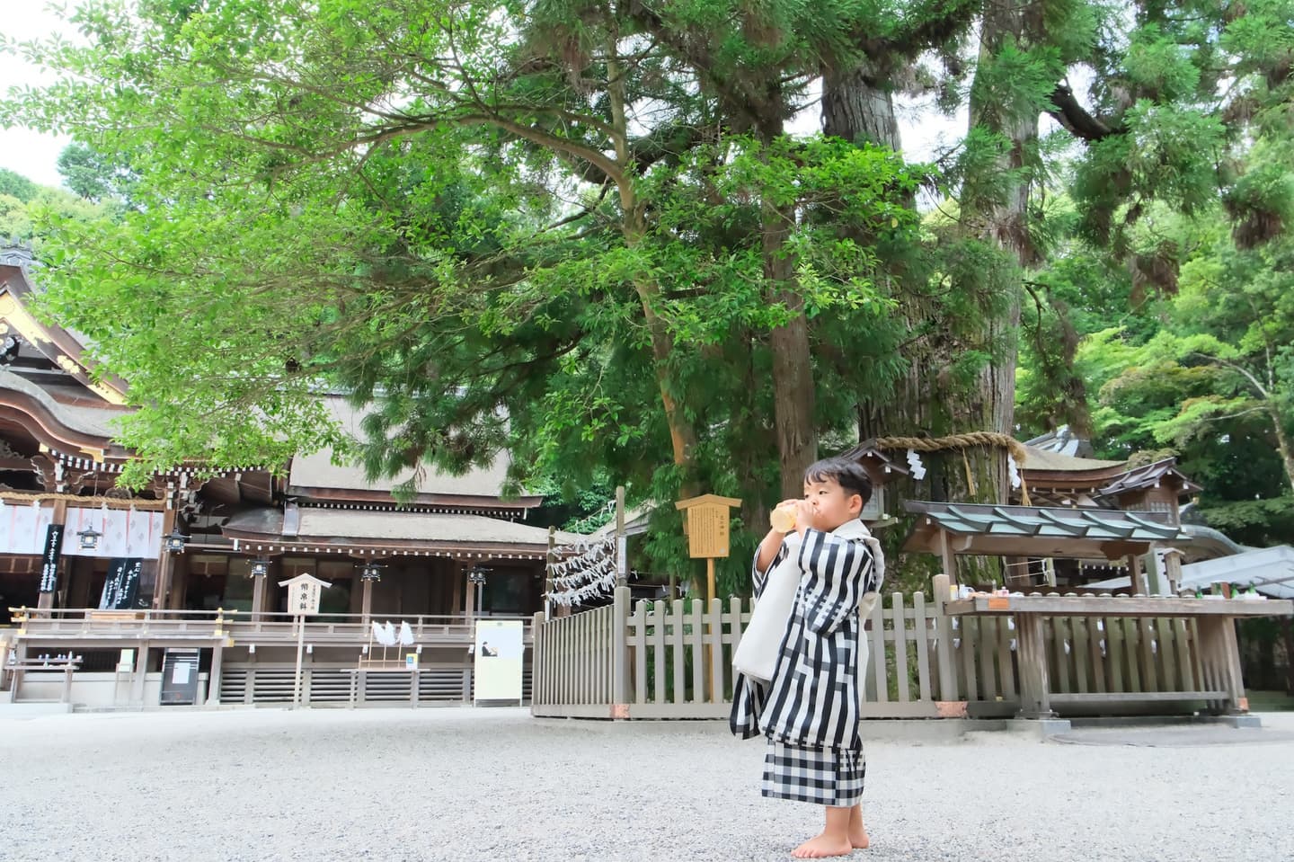 大神神社で七五三の記念写真